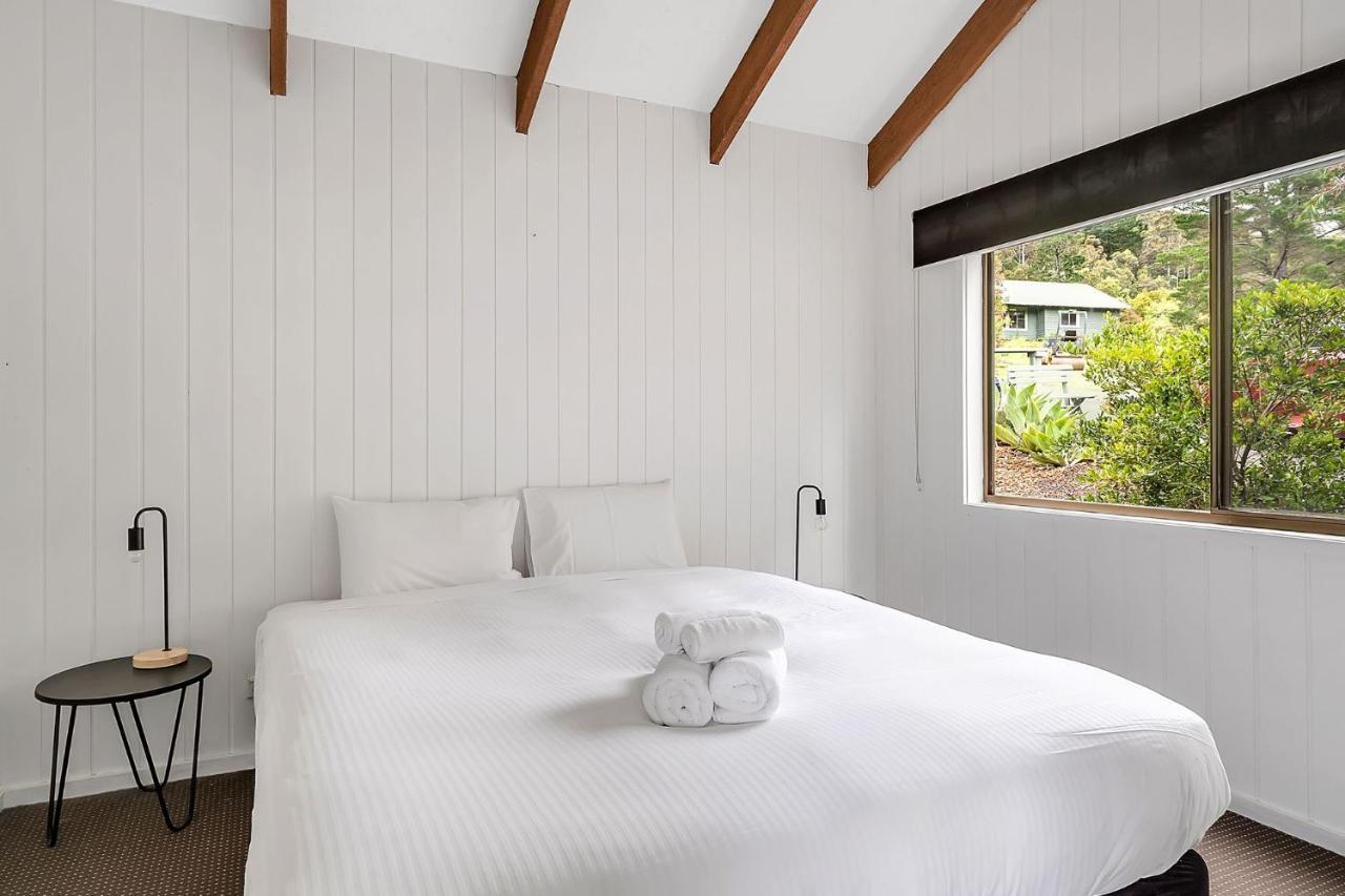 Refreshing Rainforest Retreat Kangaroo Valley